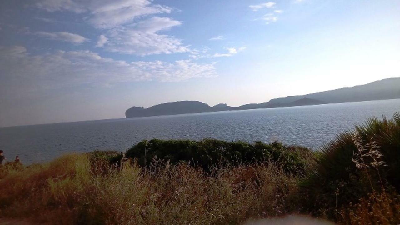 ポルト・コンテ Privacy & Relax In Sardegna Bed & Breakfast エクステリア 写真