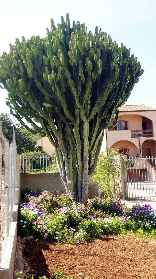 ポルト・コンテ Privacy & Relax In Sardegna Bed & Breakfast エクステリア 写真